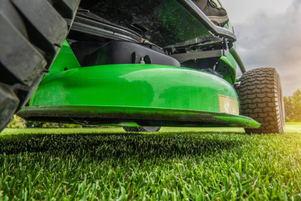 Never Mow Again: Front Yard Lawn Alternatives That Save Time, Water, and Money