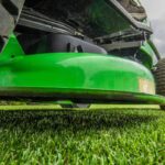 Never Mow Again: Front Yard Lawn Alternatives That Save Time, Water, and Money
