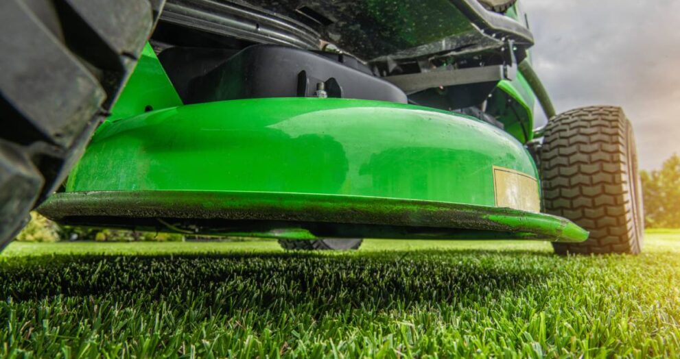 Never Mow Again: Front Yard Lawn Alternatives That Save Time, Water, and Money