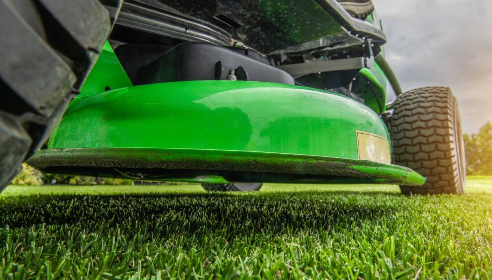 Never Mow Again: Front Yard Lawn Alternatives That Save Time, Water, and Money